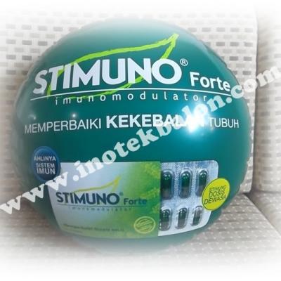 Balon Promosi Koin Diameter 38 Cm Logo Stimuno Full Colour